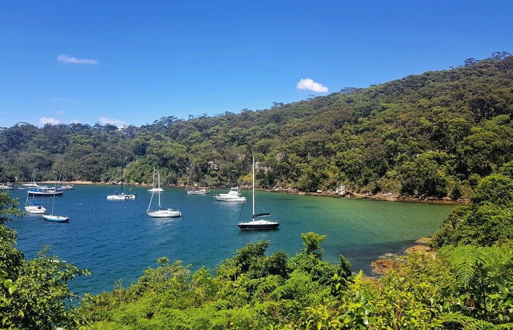 Best Walking Routes from Balmoral Guesthouse